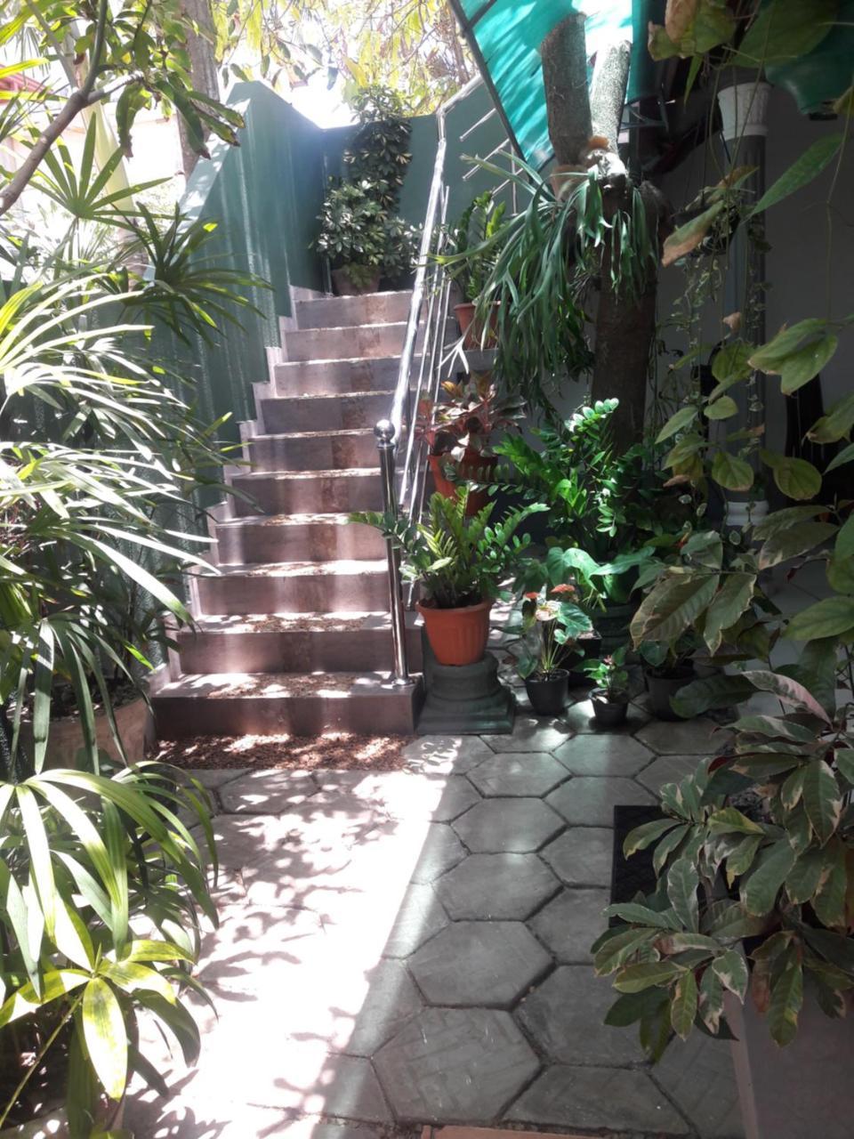 Aayu'S Guest Bentota Exterior foto